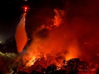 A helicopter drops water as Feliz Fire burns, near Hopland, California, U.S., August 1, 2026. REUTERS/Fred Greaves     TPX IMAGES OF THE DAY