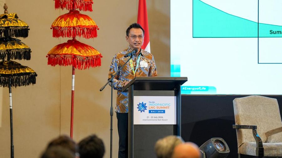 Dok PLN