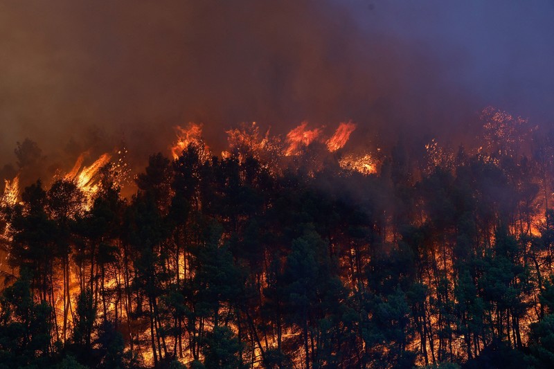 A helicopter drops water as Feliz Fire burns, near Hopland, California, U.S., August 1, 2026. REUTERS/Fred Greaves     TPX IMAGES OF THE DAY