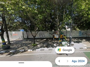 Picu Amarah Walkot Farhan, Ini 10 Pohon Depan Lapangan Padel Sebelum Ditebang