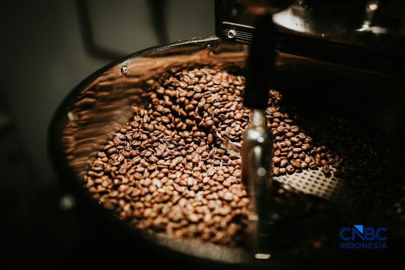 Petani memetik biji kopi robusta saat panen di salah satu perkebunan kopi di Kampung Wangun, Desa Karang Tengah, Kecamatan Babakan Madang, Kabupaten Bogor, Jawa Barat, Jumat (31/7/2026). (CNBC Indonesia/Tri Susilo)