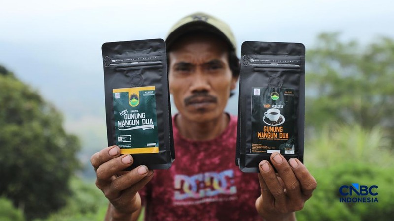 Suasana dataran tinggi perkebunan kopi di Kampung Wangun, Desa Karang Tengah, Kecamatan Babakan Madang, Kabupaten Bogor, Jawa Barat, Jumat (31/7/2026). (CNBC Indonesia/Tri Susilo)