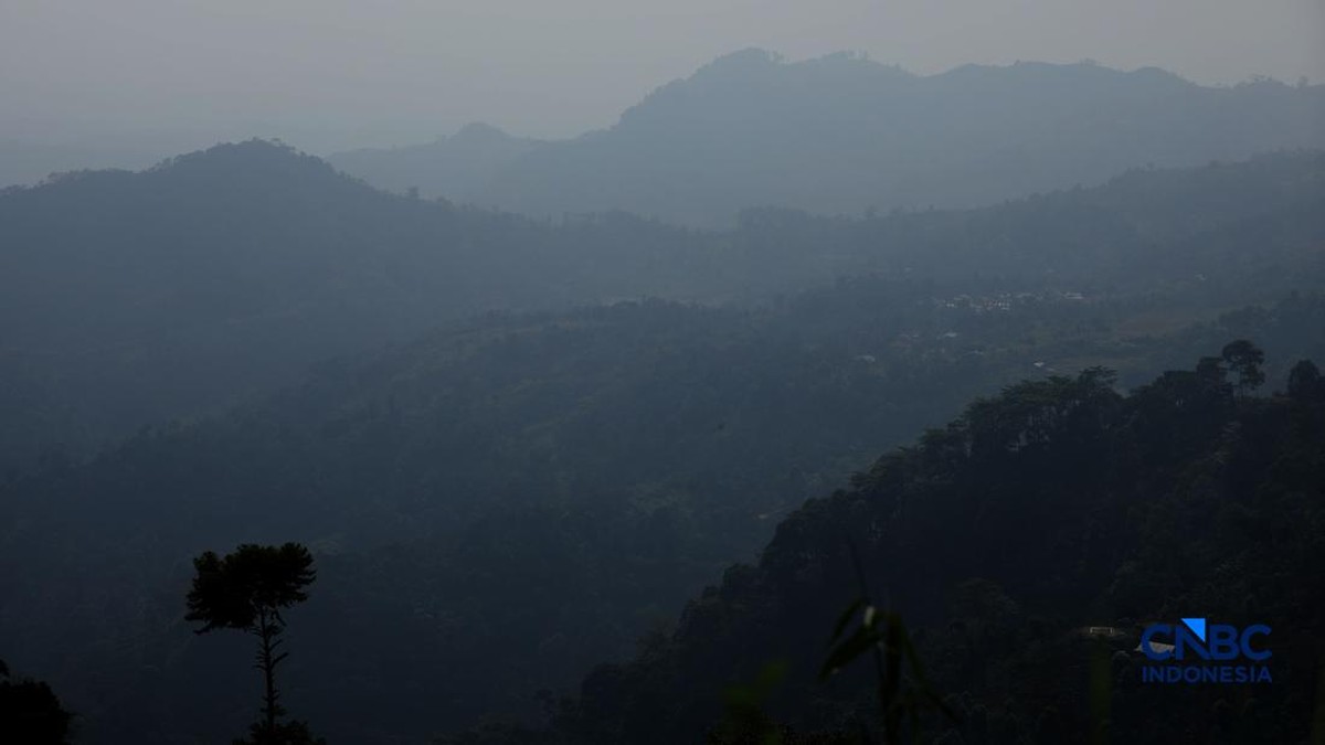 Jejak Kopi dari Gunung Wangun Jawa Barat, Masih Jadi Hidden Gem