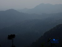Suasana dataran tinggi perkebunan kopi di Kampung Wangun, Desa Karang Tengah, Kecamatan Babakan Madang, Kabupaten Bogor, Jawa Barat, Jumat (31/7/2026). (CNBC Indonesia/Tri Susilo)