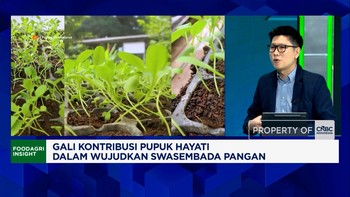 Begini Cara Pupuk Hayati Bantu Petani Tingkatkan Produksi Padi - Jagung Cs