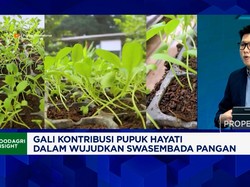 Begini Cara Pupuk Hayati Bantu Petani Tingkatkan Produksi Padi - Jagung Cs