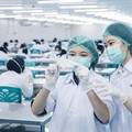 Dok PT Abadi Lestari Indonesia Tbk (RLCO)