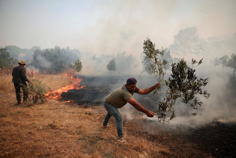 Seorang warga menyaksikan sebuah helikopter menjatuhkan air saat kebakaran hutan melanda lembah Megara, Yunani, 2 Agustus 2026. (REUTERS/Louisa Gouliamaki)