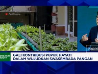 Gak Cuma Untuk Padi & Sayur, Pupuk Hayati Bantu Produksi Kelapa Sawit Naik 30%