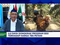 Harga TBS Sulit Naik Bikin Petani Sawit Swadaya Sulit Sejahtera, Apkasindo Teriak Ini
