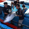 Kementerian Kelautan dan Perikanan (KKP) memperkuat tata kelola sektor perikanan tangkap dari hulu. (Dok. Humas KKP)