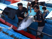 Kementerian Kelautan dan Perikanan (KKP) memperkuat tata kelola sektor perikanan tangkap dari hulu. (Dok. Humas KKP)
