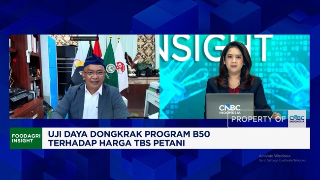 Video: Lapor Pak Prabowo! Petani Sawit Belum Rasakan Manfaat B50