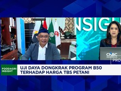 Lapor Pak Prabowo! Program B50 Tak Bikin Harga TBS Petani Sawit Naik