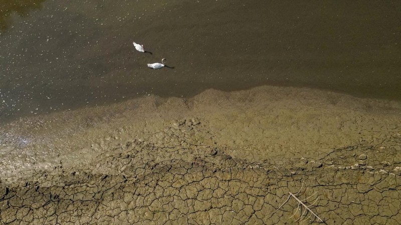 Pemandangan dari drone menunjukkan angsa-angsa di Danau Brenets yang hampir kosong karena kondisi kekeringan yang memengaruhi Sungai Doubs menurunkan permukaan air di sepanjang perbatasan Swiss-Prancis di Les Brenets, Swiss, 30 Juli 2026.