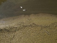 Pemandangan dari drone menunjukkan angsa-angsa di Danau Brenets yang hampir kosong karena kondisi kekeringan yang memengaruhi Sungai Doubs menurunkan permukaan air di sepanjang perbatasan Swiss-Prancis di Les Brenets, Swiss, 30 Juli 2026. (REUTERS/De