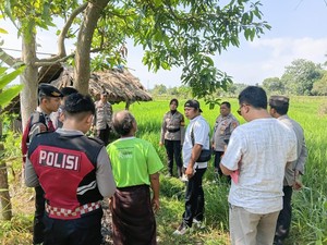 Punya Riwayat Diabetes, Perempuan Ditemukan Tewas di Sawah Lombok Barat