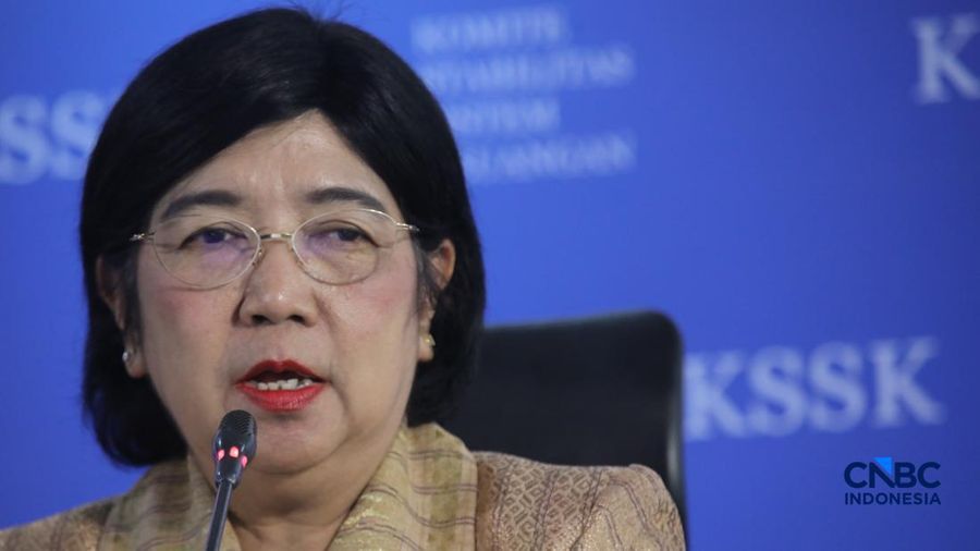 Pjs Gubernur Bank Indonesia, Destry Damayanti saat Konferensi Pers Hasil Rapat Berskla KSSK III Tahun 2016 di Jakarta, Senin (3/8/2026). (CNBC Indonesia/Faisal Rahman)