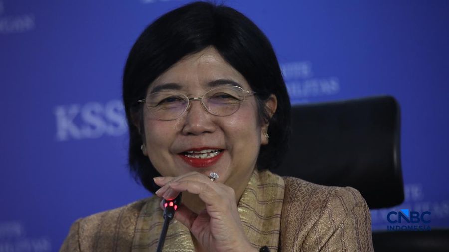 Pjs Gubernur Bank Indonesia, Destry Damayanti saat Konferensi Pers Hasil Rapat Berskla KSSK III Tahun 2016 di Jakarta, Senin (3/8/2026). (CNBC Indonesia/Faisal Rahman)