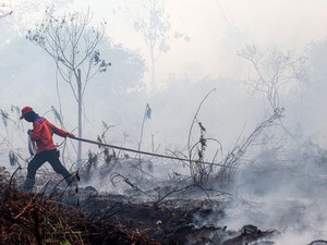 Kalbar Perang Lawan Karhutla, Jangan Sampai 2019 Terulang!