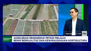 Benih Sayur Berkualitas Bikin Untung Petani, Anak Muda Makin Tertarik Berwirausaha Hortikultura?