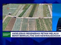 Benih Sayur Berkualitas Bikin Untung Petani, Anak Muda Makin Tertarik Berwirausaha Hortikultura?