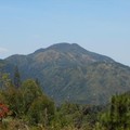 Gunung Lawu. (Dok. Detikcom/Basri Bachtiar)