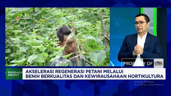 Inovasi Hasilkan Benih Sayur Tahan Hama & Perubahan Cuaca, Petani Makin Cuan