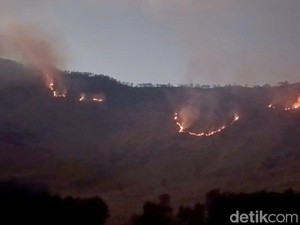 Kebakaran Hutan Merembet ke Savana Gunung Bromo, Petugas Bikin Sekat