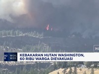 Kebakaran Hutan Washington, 60 Ribu Warga Dievakuasi