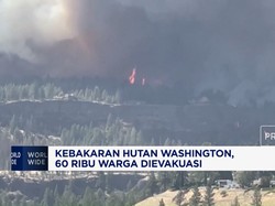 Kebakaran Hutan Washington, 60 Ribu Warga Dievakuasi