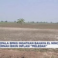 Kepala BMKG Ingatkan Bahaya El Nino, Pernah Bikin Inflasi "Meledak"