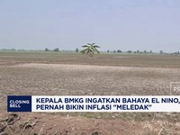 Kepala BMKG Ingatkan Bahaya El Nino, Pernah Bikin Inflasi "Meledak"
