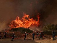 Yunani kembali dilanda kebakaran hutan besar yang menghanguskan lebih dari 100 rumah di wilayah barat laut Athena, Selasa (4/8/2026). (REUTERS/Louisa Gouliamaki)