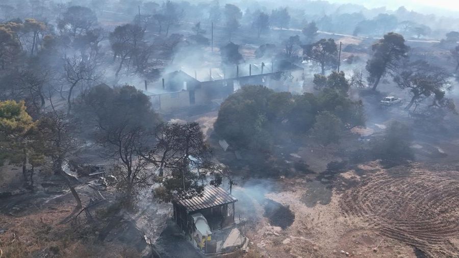 Yunani kembali dilanda kebakaran rimba besar nan menghanguskan lebih dari 100 rumah di wilayah barat laut Athena, Selasa (4/8/2026). (REUTERS/Louisa Gouliamaki)