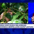 Ambil Untung Dari Lonjakan Harga Kopi Dunia, Produksi Kopi RI Terkendala Cuaca-Penyakit