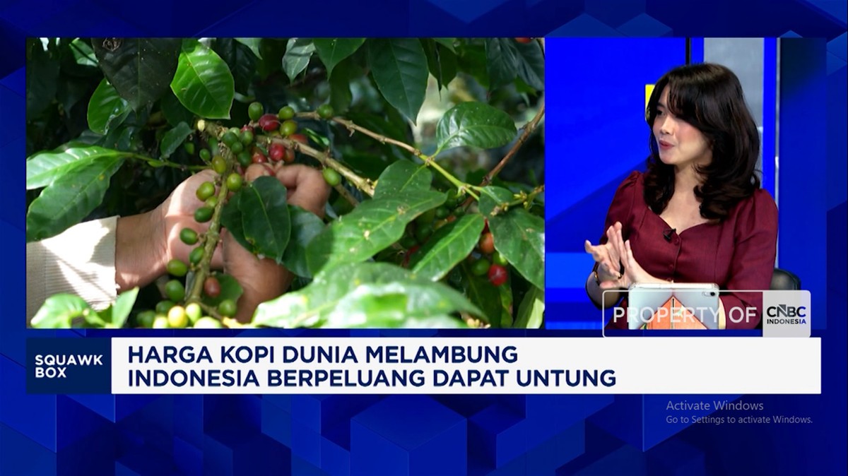 Video: Potensi Indonesia Ambil Untung Dari Lonjakan Harga Kopi Dunia
