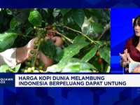 Ambil Untung Dari Lonjakan Harga Kopi Dunia, Produksi Kopi RI Terkendala Cuaca-Penyakit