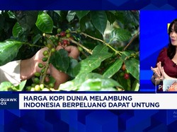 Ambil Untung Dari Lonjakan Harga Kopi Dunia, Produksi Kopi RI Terkendala Cuaca-Penyakit
