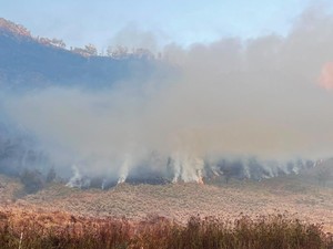 Titik Api Kebakaran Hutan Bromo Sudah Sampai di Kabupaten Malang