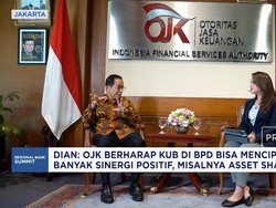 OJK Sebut Sinergi BPD Lewat KUB Sukses, Ada 27 BPD Capai Modal Rp 3 Triliun