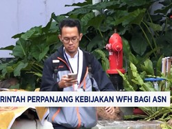 Pemerintah Perpanjang Kebijakan Work from Home Bagi ASN