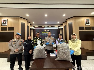 Kronologi Polisi Bongkar Gudang Sisik Trenggiling, Berawal dari Postingan Viral