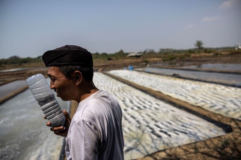 Seorang petani memuat karung-karung garam di atas tanggul saat panen di tambak garam di Desa Pengarengan, Cirebon, Provinsi Jawa Barat, Indonesia, pada 30 Juli 2026. (REUTERS/Willy Kurniawan)