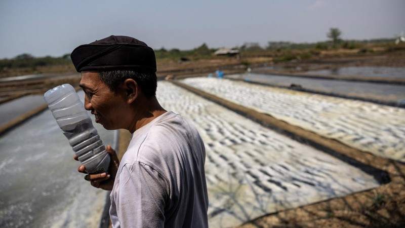 Dadang Darmawan (45), ketua kelompok petani garam setempat, memegang abu buatan sendiri yang disebut 'Awoe Laut'—yang digunakan untuk memurnikan air laut dalam proses pembuatan garam—di sebuah tambak di Desa Pengarengan, Cirebon, Provinsi Jawa Barat, Indonesia, pada 30 Juli 2026.