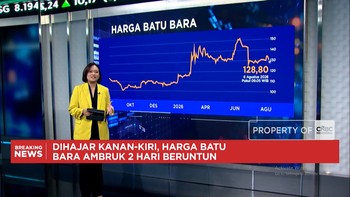 Dihajar Kanan-Kiri, Harga Batu Bara Ambruk hingga Harga Minyak Melunak