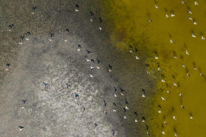 Foto udara menujukkan menurunnya permukaan air di Danau Velence, Hungaria, Kamis (6/8/2026).
Permukaan air di Danau Velence diprediksi akan turun ke level terendah sepanjang masa pada musim panas ini akibat dampak perubahan iklim. (REUTERS/Marton Monus)