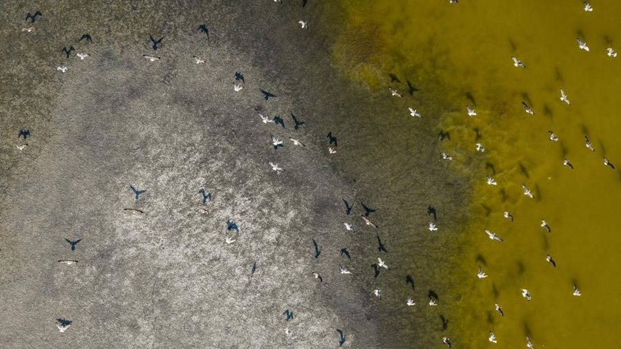 Foto udara menujukkan menurunnya permukaan air di Danau Velence, Hungaria, Kamis (6/8/2026).
Permukaan air di Danau Velence diprediksi akan turun ke level terendah sepanjang masa pada musim panas ini akibat dampak perubahan iklim. (REUTERS/Marton Mo