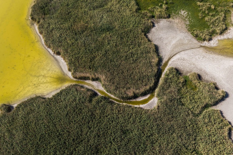 Foto udara menujukkan menurunnya permukaan air di Danau Velence, Hungaria, Kamis (6/8/2026).
Permukaan air di Danau Velence diprediksi akan turun ke level terendah sepanjang masa pada musim panas ini akibat dampak perubahan iklim. (REUTERS/Marton Monus)