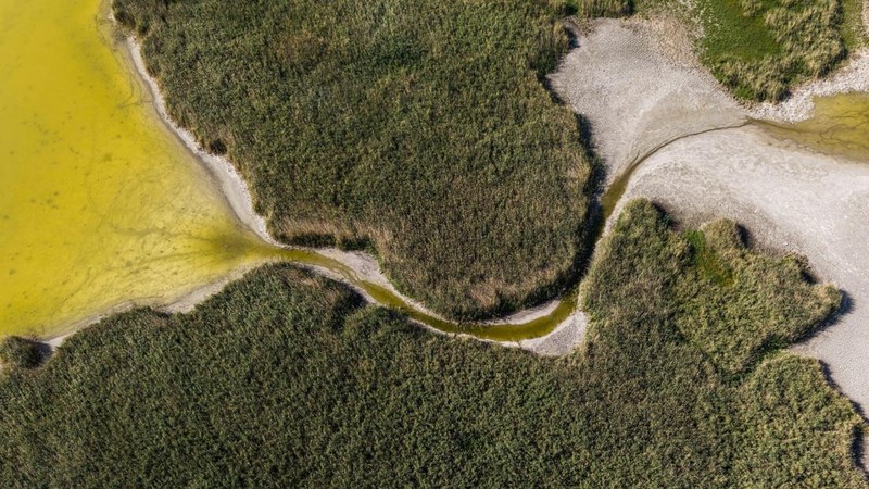 Foto udara menujukkan menurunnya permukaan air di Danau Velence, Hungaria, Kamis (6/8/2026).
Permukaan air di Danau Velence diprediksi akan turun ke level terendah sepanjang masa pada musim panas ini akibat dampak perubahan iklim. (REUTERS/Marton Mo